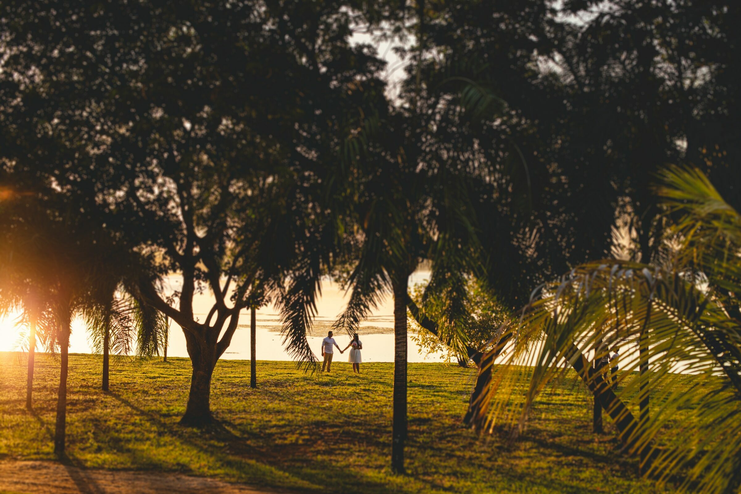 Foto de Rafael Elias Bedim 6