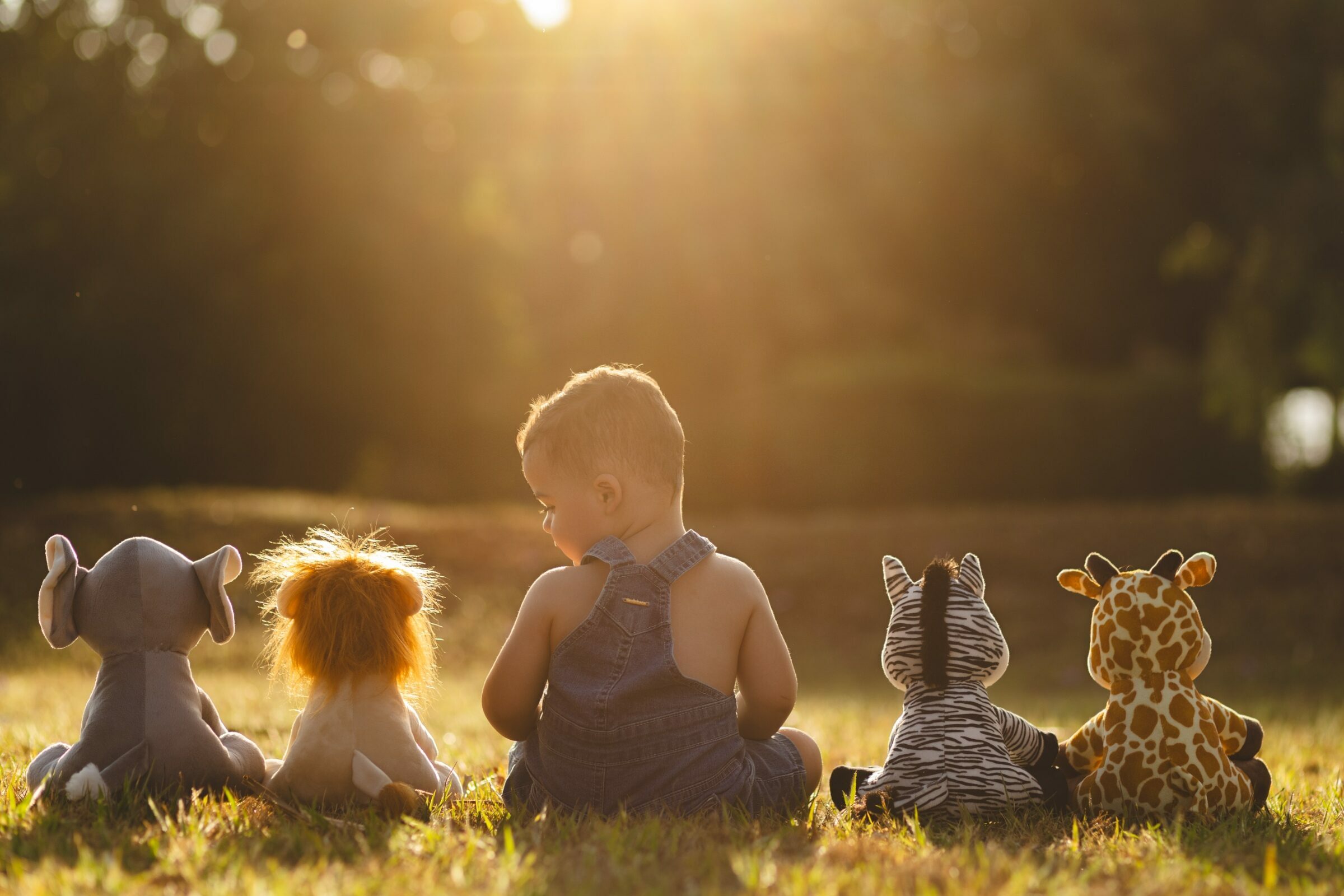 Foto de Rafael Elias Bedim 7