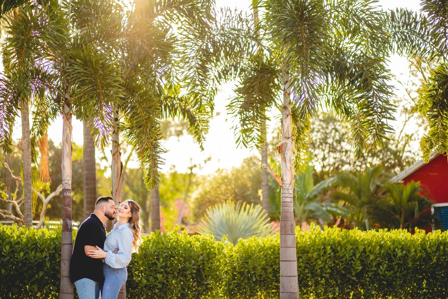 Pré Wedding - Francine e Paulo Henrique